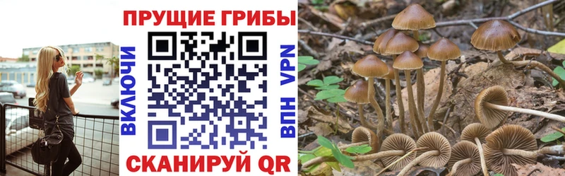 Псилоцибиновые грибы ЛСД  Челябинск 